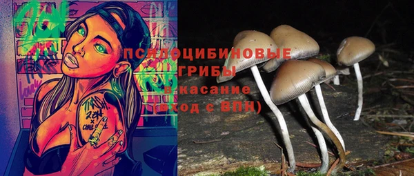 mdpv Верхний Тагил
