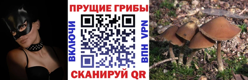 ссылка на мегу ссылка  Северодвинск  Галлюциногенные грибы мухоморы 