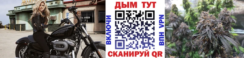Бошки Шишки семена Северодвинск